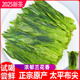 绿茶2025新茶叶太平布尖猴魁茶50g 试喝茶 雨前特级1915袋装散装