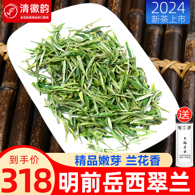 明前精品】岳西翠兰2024新茶嫩芽