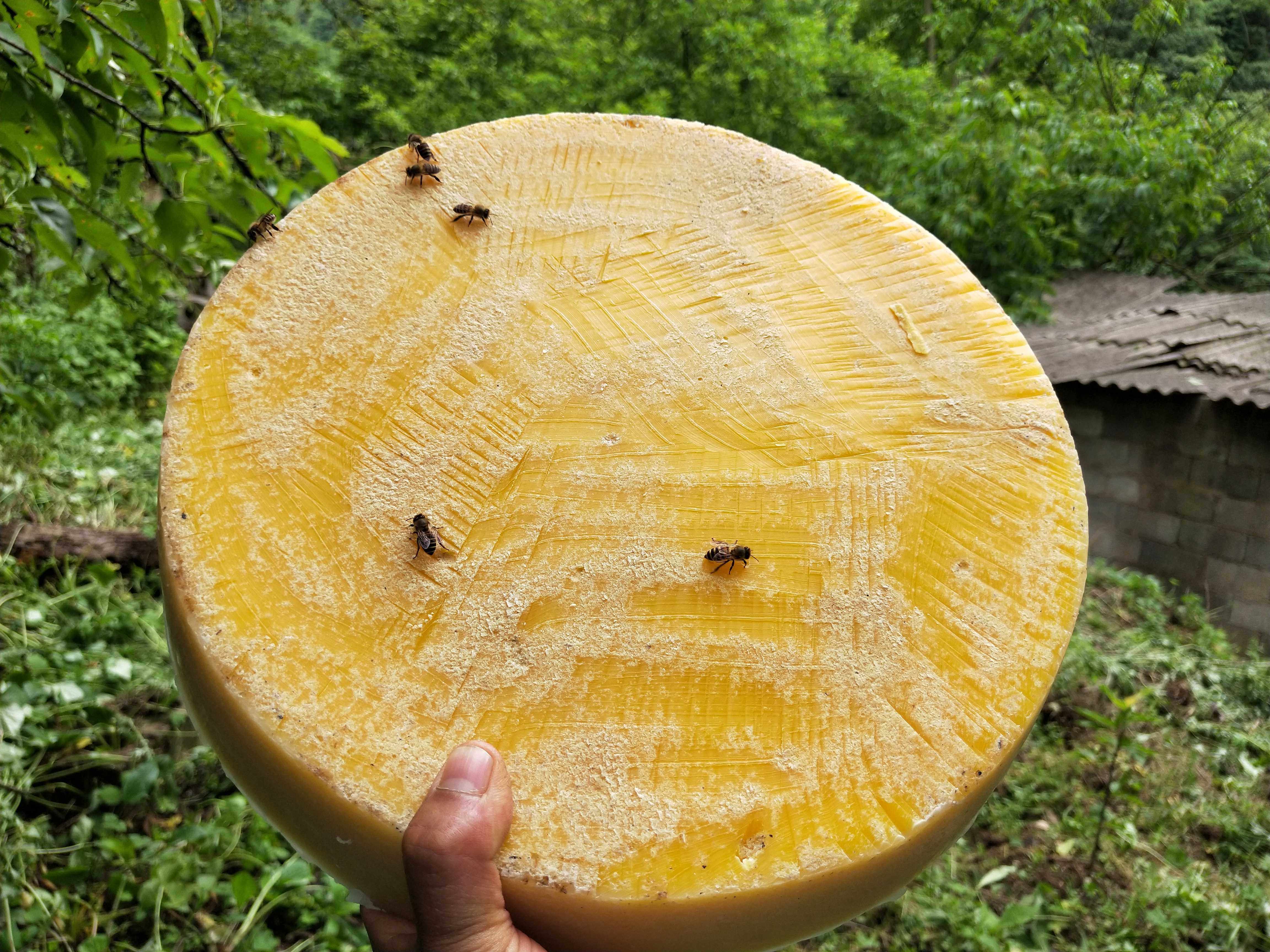 贵州毕节黔西卢勇家纯天然蜂巢手工制作蜂蜡168一斤包邮诱蜂专用