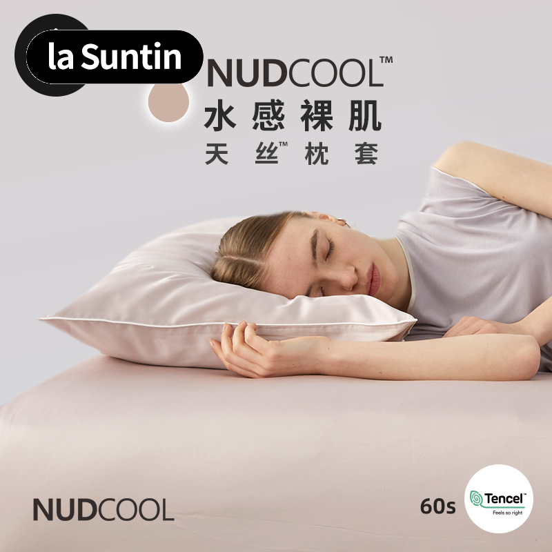 lasuntin水感裸肌天丝纯色枕套一对装凉感枕头套春夏季丝滑枕芯套