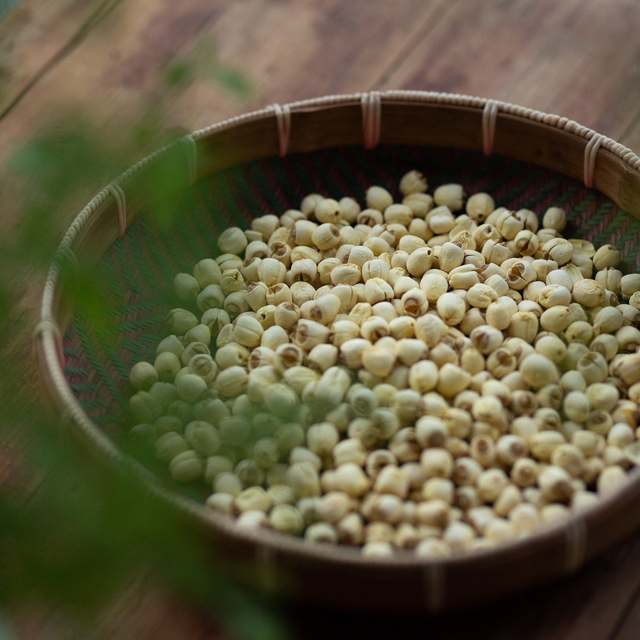 五夫白莲福建武夷山散装天然无药无硫适合孕妇小孩2021年新莲子