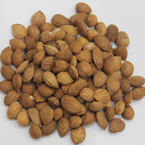 扁桃仁500g包邮山桃仁生桃仁带皮毛桃仁中药材500g克35元