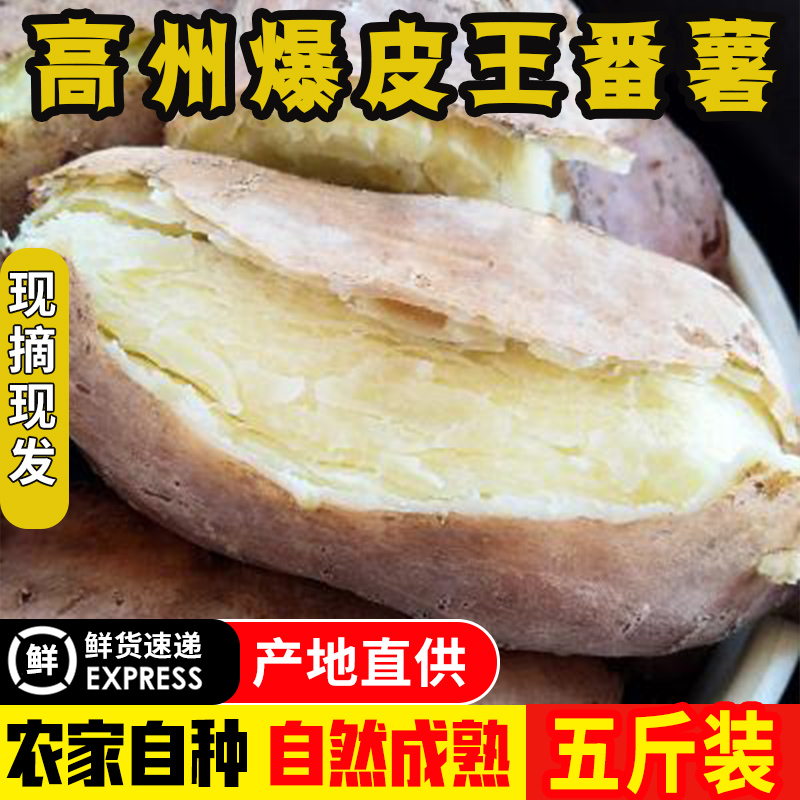 广东高州爆皮王白心面包王番薯新鲜粉糯香甜板栗薯农家现挖包邮在类目 水产肉类/新鲜蔬果/熟食, 新鲜蔬菜/蔬菜制品, 新鲜蔬菜, 番薯中 - 来自Buy2taobao.com提供专业的淘宝代购服务
