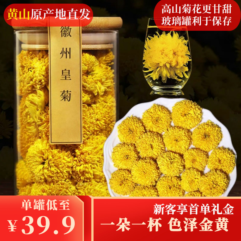 徽源黄山菊花茶头采金丝皇菊特级大菊