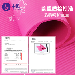 瑜伽垫跳舞蹈地垫子家用儿童练功垫珈女孩初学者防滑加厚加宽加长