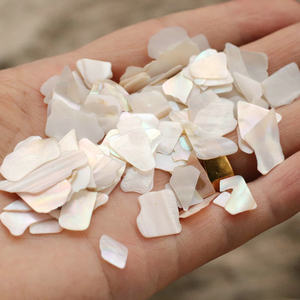 天然贝壳碎片 diy饰品配件 美甲贴片 指甲亮片 手机美容 装饰材料