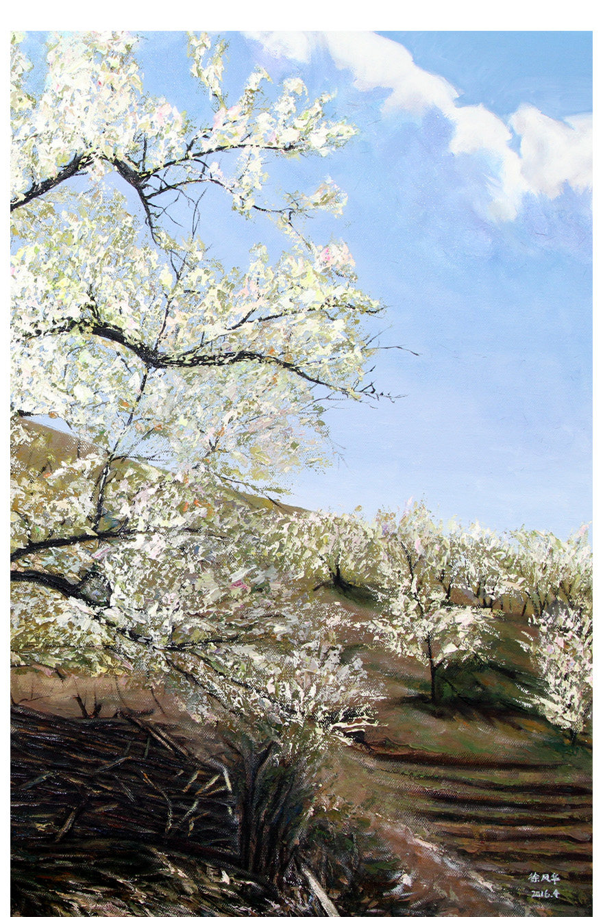 【学院艺术】鞍山师范学院 徐风华《梨花朵朵系列之二》布面油画