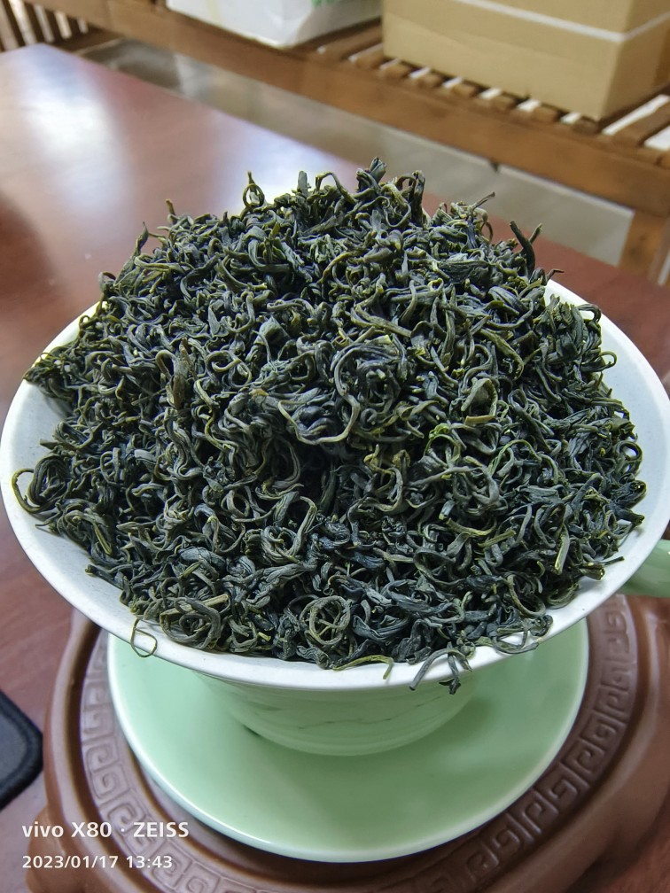 春茶绿茶高山日照绿茶浓香型绿茶新鲜高级散装250克五折活动价