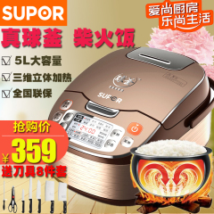 SUPOR/苏泊尔CFXB50FC832-75电饭煲智能预约球釜斧5L煮饭锅4-8人