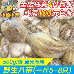 青岛特产野生八爪鱼鲜活冷冻新鲜海鲜八带小章鱼活冻长蛸500g
