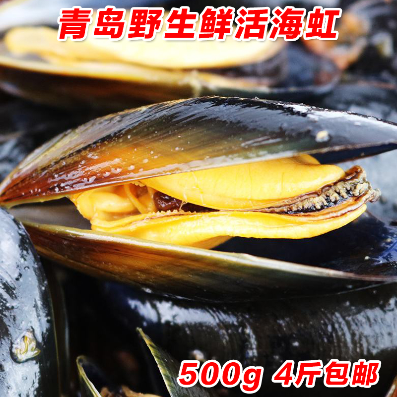 海虹鲜活淡菜青口贝新鲜海鲜水产冷冻大贻贝贝类青岛海红500g包邮在类目 水产肉类/新鲜蔬果/熟食, 海鲜/水产品/制品, 贝类, 青口贝中 - 来自Buy2taobao.com提供专业的淘宝代购服务