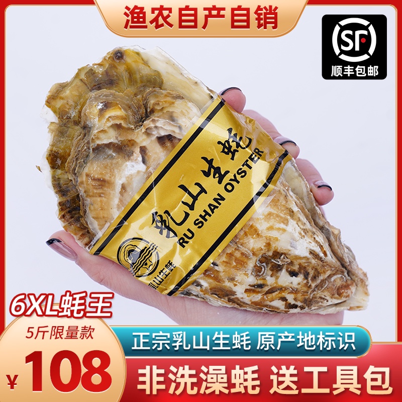 特大号正宗乳山生蚝贝壳 鲜活新鲜牡蛎带壳海鲜水产海蛎子5斤6XL