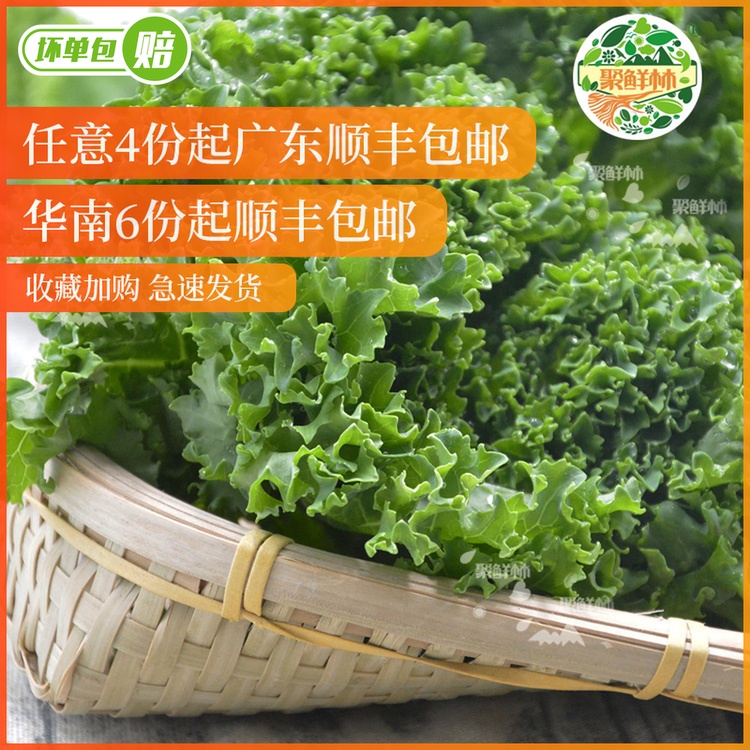 聚鲜林新鲜羽衣甘蓝叶牡丹绿叶花包菜300g芥蓝菜沙拉西餐蔬菜配菜在类目 水产肉类/新鲜蔬果/熟食, 新鲜蔬菜/蔬菜制品, 新鲜蔬菜, 其它中 - 来自Buy2taobao.com提供专业的淘宝代购服务