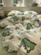 北欧卡通喷火龙四件套全棉纯棉1.5m1.8米绿色宿舍被套床单三件套