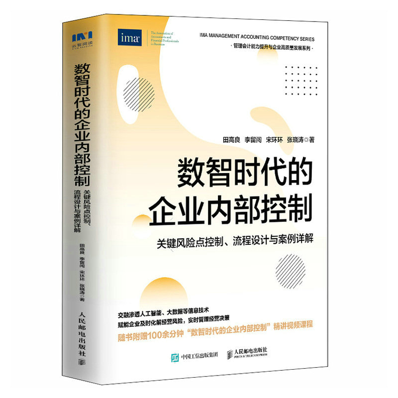 数智时代的企业内部控制 关键风险点控制流程设计与案例详解  融合大数据人工智能等信息技术 管理会计内控人员案头常备书籍