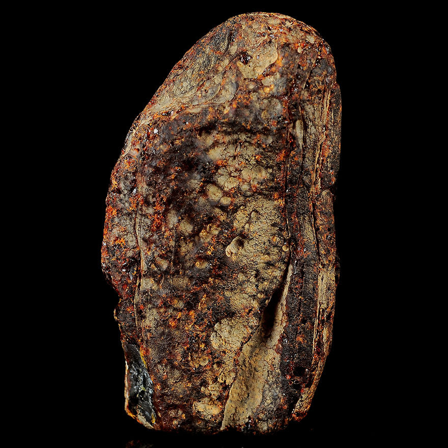 54.65克 带皮琥珀随形原石【强荧光】