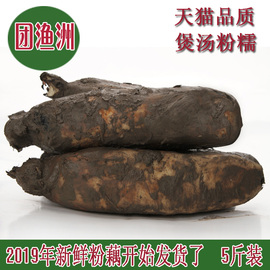 湖北新鲜粉藕洪湖莲藕煲汤易粉易烂现挖现卖粉糯藕5斤顺丰包邮