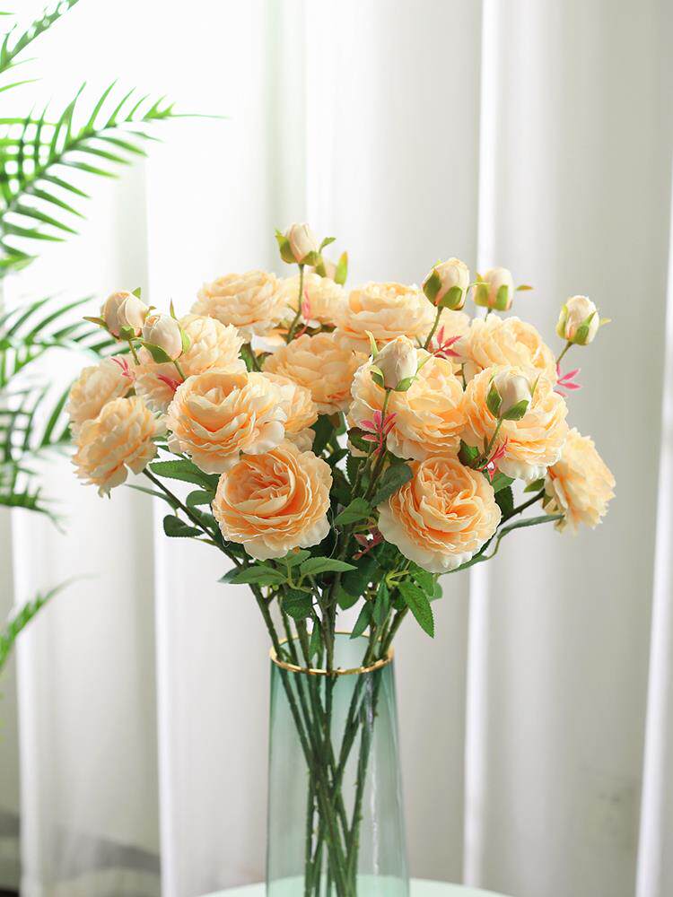 家里客厅放的花