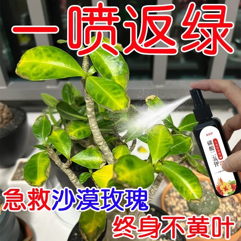 磷酸二氢钾营养液盆栽植物叶面肥料花