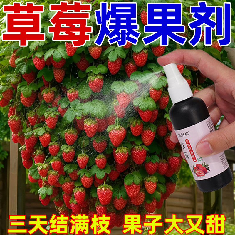 【草莓营养液】草莓专用肥防黄叶催开