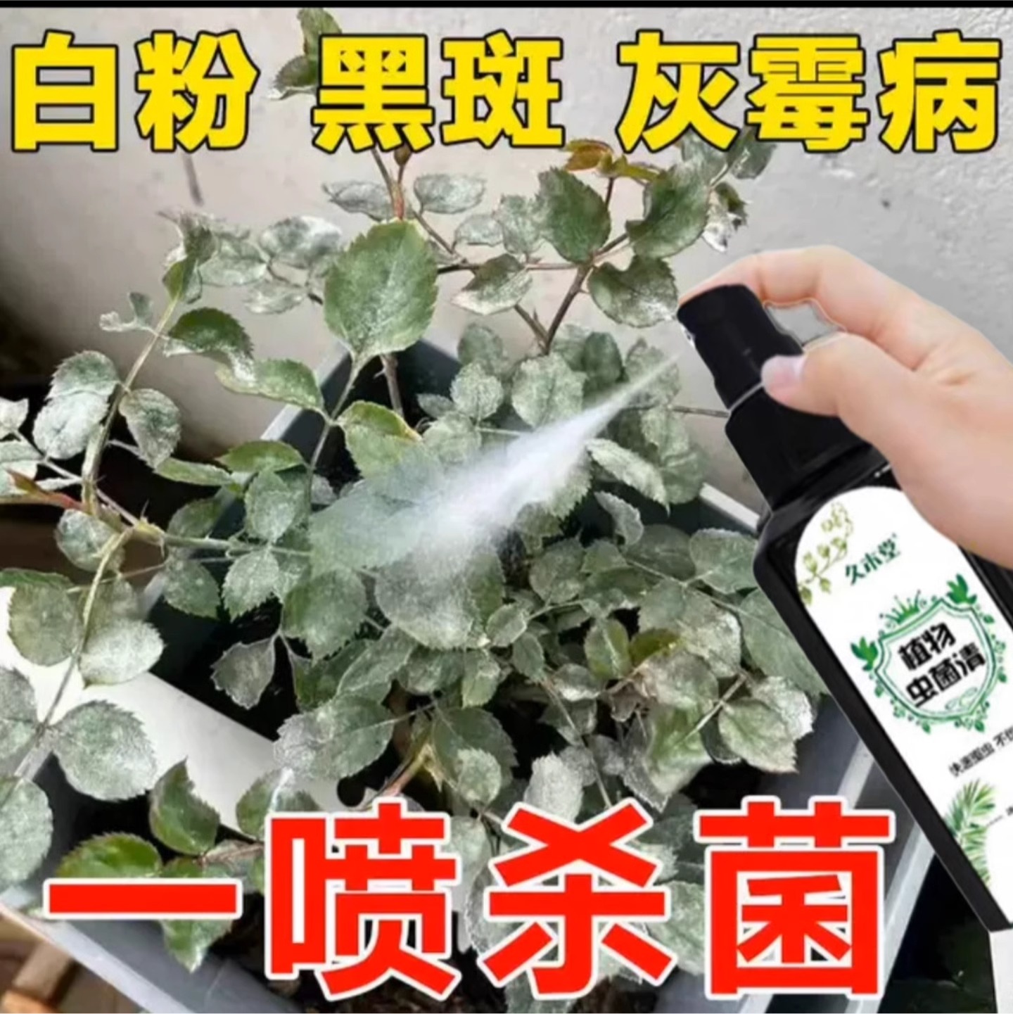 百虫清蔬菜专用农药花卉绿植杀虫剂叶面肥蜗螺净正品除消菌灵喷剂