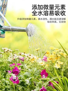 蔬菜营养土种菜专用土阳台育苗家庭有机肥料种植泥土壤盆栽种菜土