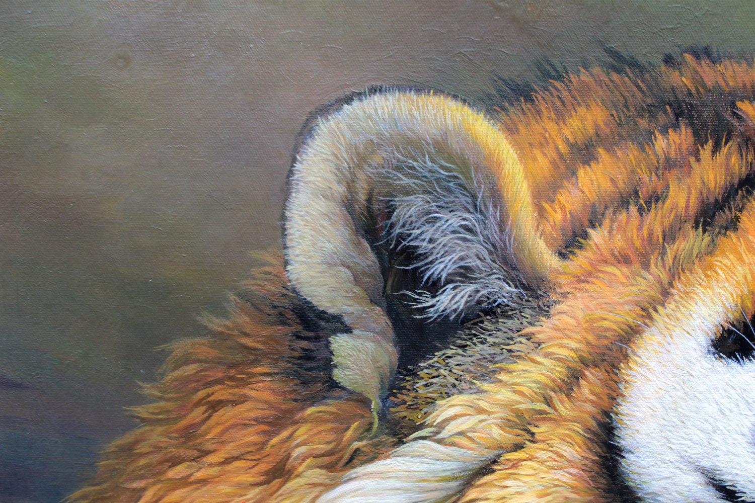 孙京玉《老虎》朝鲜名家油画【白头山出品】