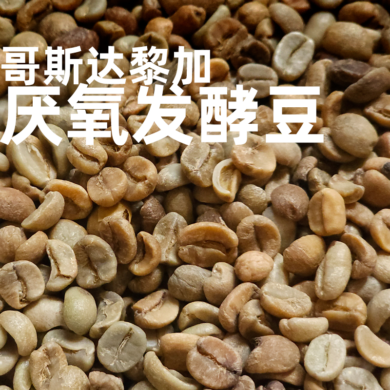 Grain Full小满咖啡烘焙工厂哥斯达黎加厌氧发酵生豆500g定制烘焙