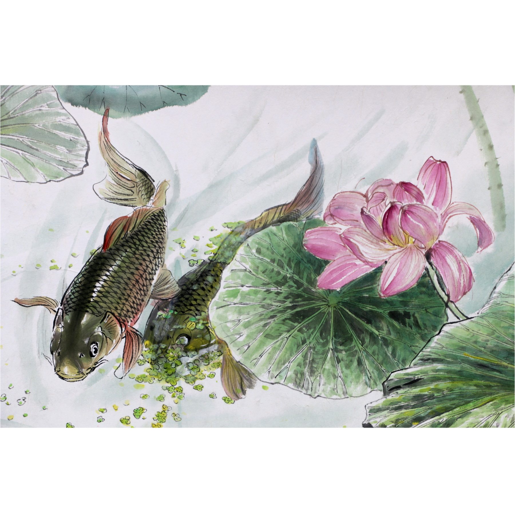 (朝鲜)功勋艺术家 张恩顺《鲤鱼戏莲》万寿台美术创作社