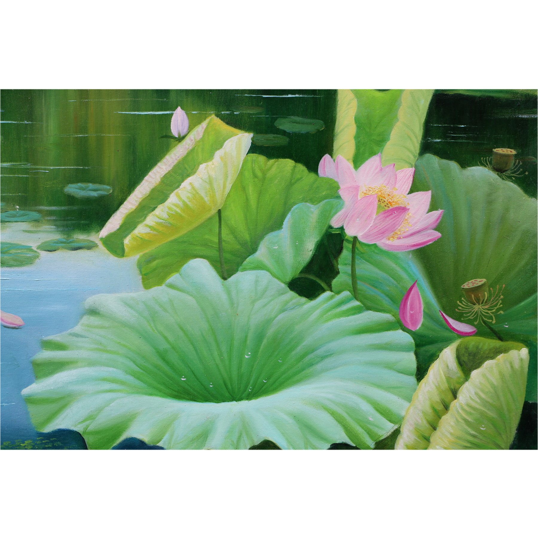 (朝鲜)功勋艺术家 金哲男《初夏新荷》白虎美术创作社