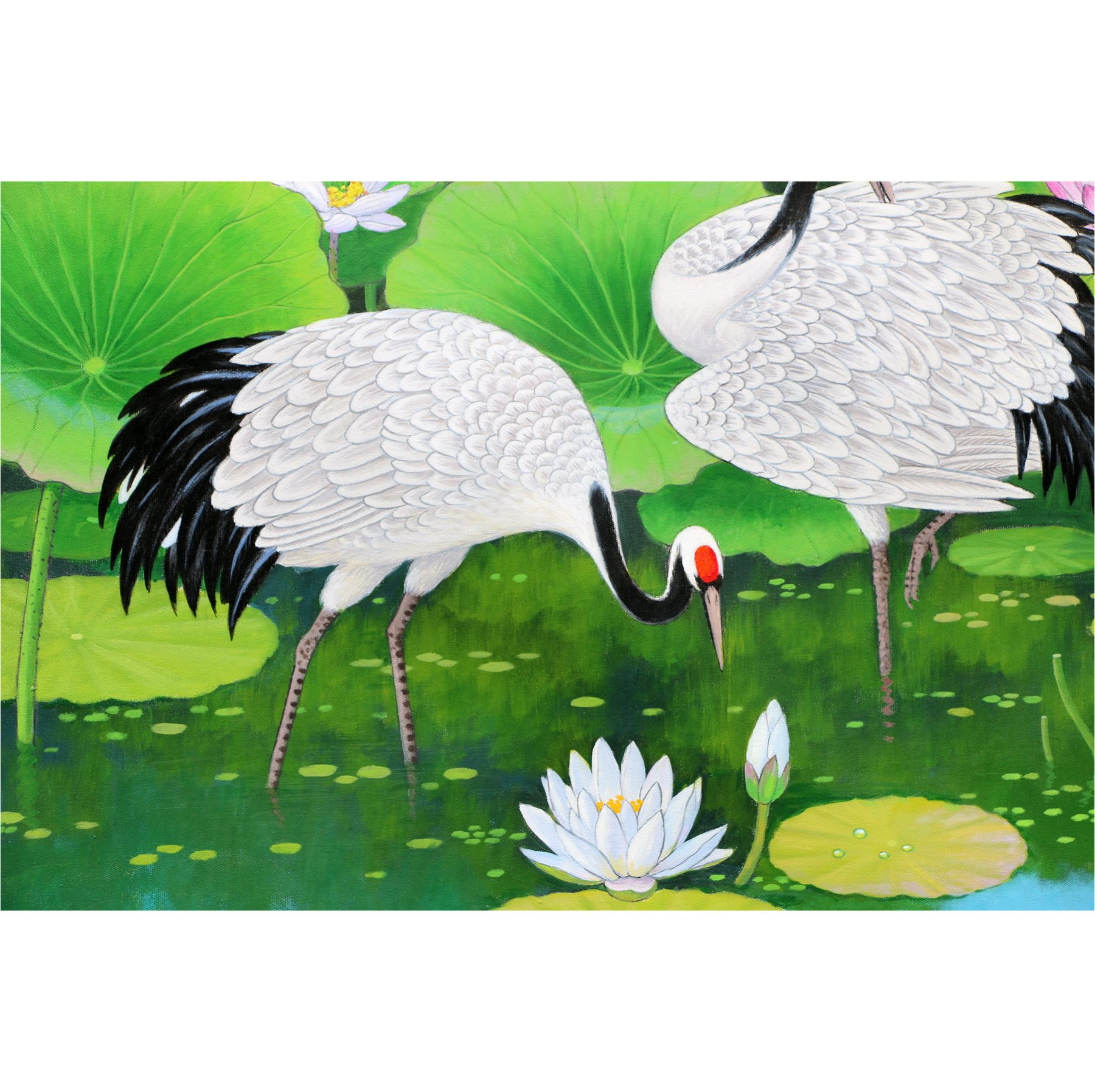 (朝鲜)功勋艺术家申应浩《鹤》万寿台美术创作社