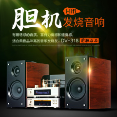 欧诺 DV-318高品质发烧胆机音响 hifi书架电脑蓝牙音箱 重低音炮