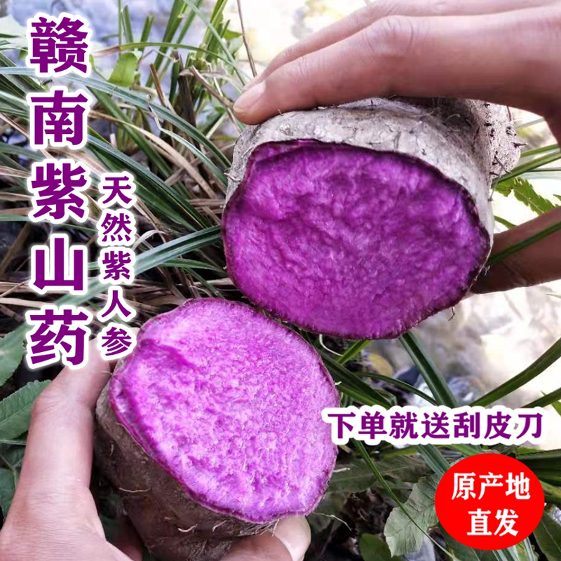 江西紫山药新鲜5斤脚板薯紫玉淮山赣州紫色毛薯现挖摘