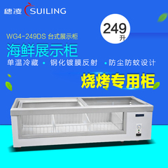 穗凌WG4-249DS小型商用冰柜熟食水果麻辣烫卧式冷藏展示柜保鲜柜