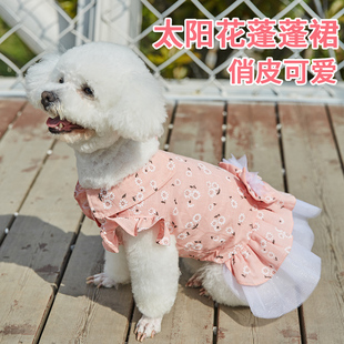 狗狗衣服小型犬春夏薄款狗狗裙子泰迪比熊博美小狗服饰新款公主裙