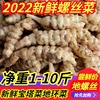 2022發芽新鮮螺絲菜小寶塔菜地環葫蘆牯牛醬菜甘露子可種農家蔬菜 2022發芽新鮮螺絲菜小寶塔菜地環葫蘆牯牛醬菜甘露子可種農家蔬菜