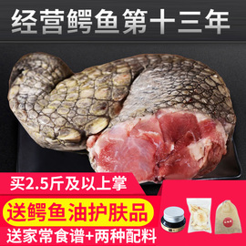 鳄鱼掌腿肉2斤泰国鳄鱼肉水产生鲜鳄鱼头新鲜鳄鱼腿顺丰空运包邮