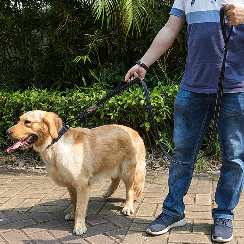店-狗狗牵引绳大型犬狗绳狗链子遛狗宠物狗绳金毛项圈大型狗拉布拉多