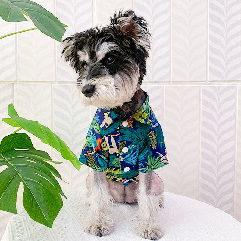 雪纳瑞衬衫泰迪比熊夏装沙滩清凉薄款潮牌小型夏季夏天小狗狗衣服