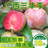 順豐包郵廣西八步紅心三華李新鮮 廣西水果包郵酸脆李子5斤10斤 順豐包郵廣西八步紅心三華李新鮮 廣西水果包郵酸脆李子5斤10斤