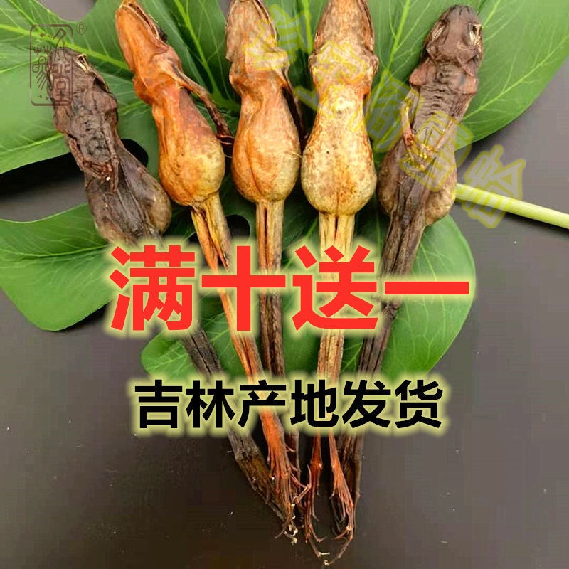 雪蛤长白山雪蛤油连体油蛤蟆干油补雌雪哈油林蛙干10克12克15克在类目 传统滋补营养品, 雪蛤/林蛙油, 雪蛤干中 - 来自Buy2taobao.com提供专业的淘宝代购服务