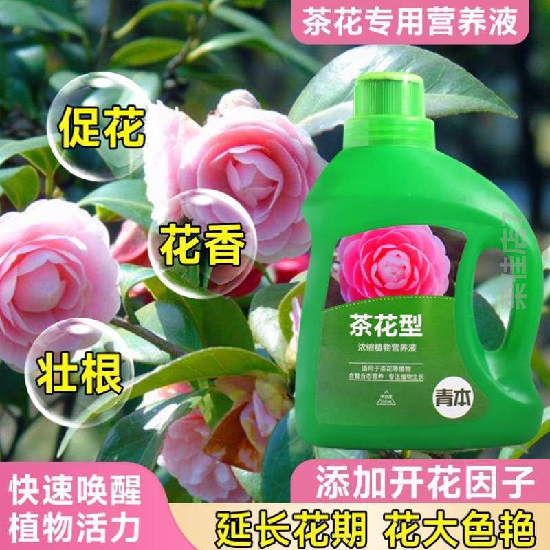 培植养花君子兰叶烂根专用肥生根有机肥料发黄植物园艺?叶子掉治