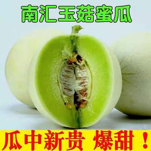 南汇玉菇甜瓜蜜瓜新鲜水果冰淇淋当季脆香瓜哈密2/5/10斤包邮