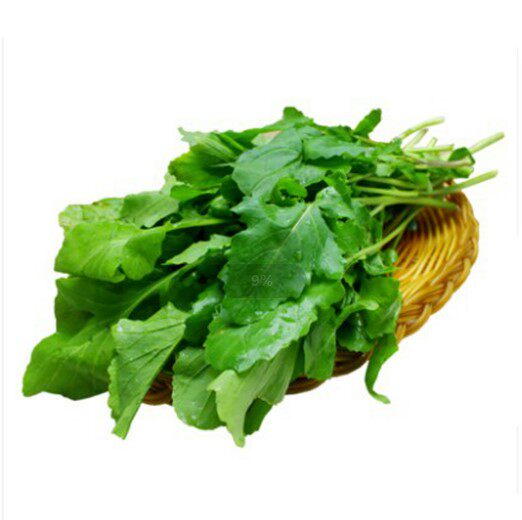 东北新鲜蔬菜臭菜农家自种大叶臭菜一份500g包邮正宗东北蘸酱小菜