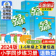 2024秋 53天天练一年级下册同步练习册二年级下册三四五六年二年级上下册练习册语文数学人教版苏教版五三天天练5.3天天练正版书籍