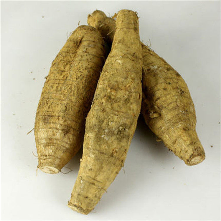 新鲜生葛根粉葛煲汤清甜粉糯无渣广东韶关乐昌新鲜蔬菜2500g包邮