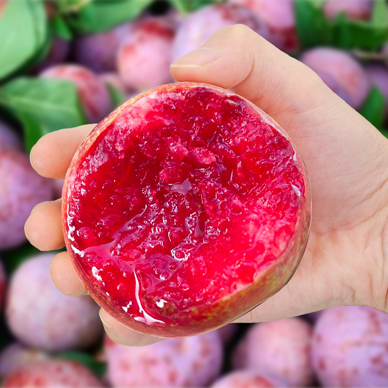 新品优惠券10元福建古田芙蓉李新鲜三华李5斤孕妇水果