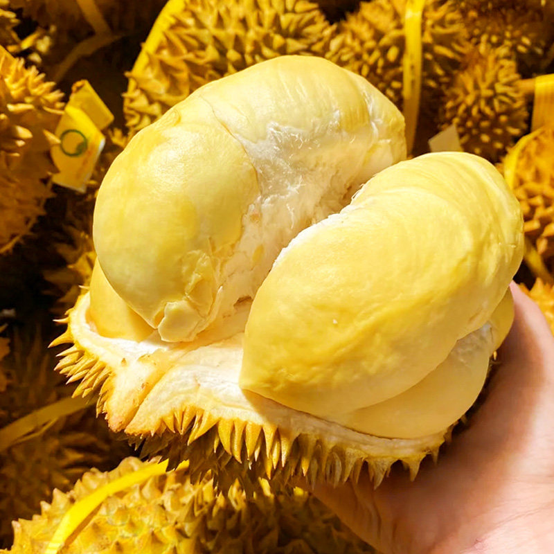 榴莲新鲜优惠专场