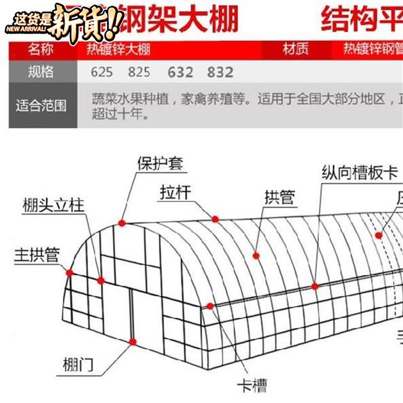 ls棚头家用养猪顶上热镀锌大卡簧简易钢管大型防风棚连栋加强配件
