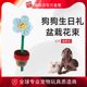 【爱宠生日礼】GiGwi贵为狗玩具-盆栽花束（仅作展示）